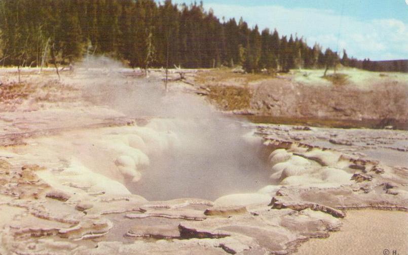 Yellowstone National Park, Oblong Geyser Crater