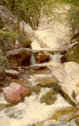 Glenwood, Gila National Forest, Whitewater Creek
