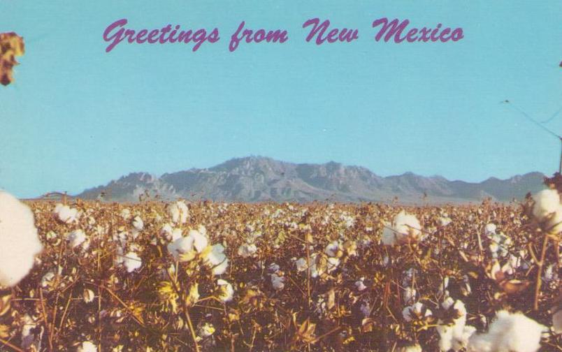 Greetings from New Mexico, Cotton Field and Florida Mountains