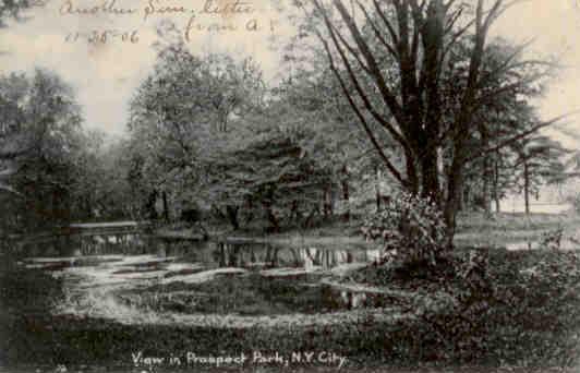 New York City, View in Prospect Park