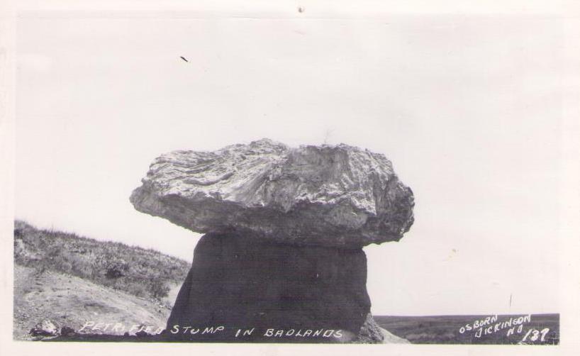 Petrified Stump in Badlands