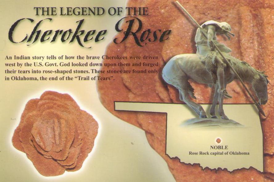 The Legend of the Cherokee Rose