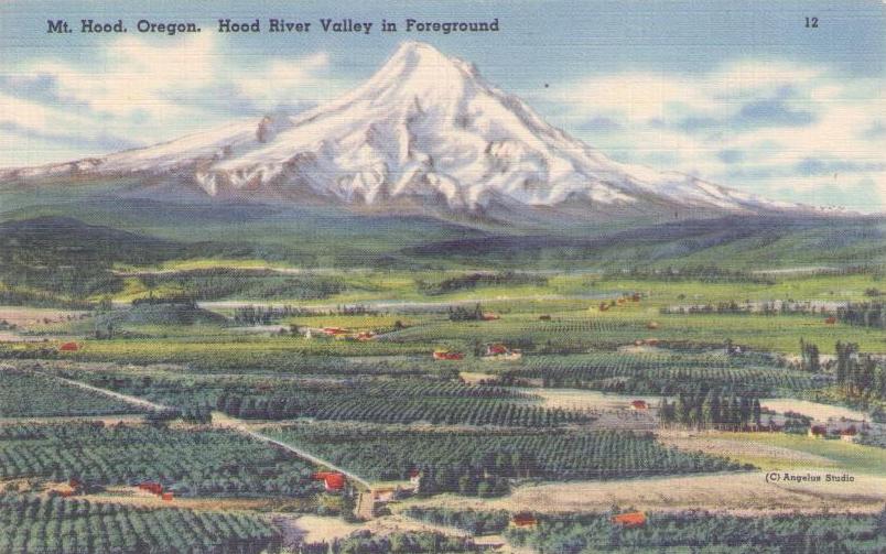 Mt. Hood; Hood River Valley in Foreground