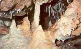 Wind Cave stalactites (Black Hills, South Dakota)