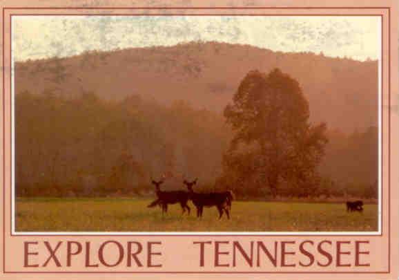 Explore Tennessee