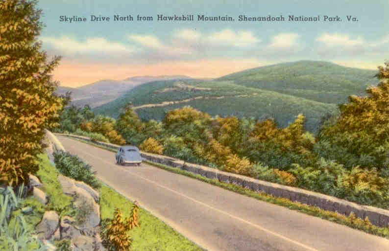 Shenandoah National Park, Skyline Drive from Hawksbill Mountain