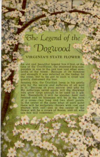The Legend of the Dogwood, Virginia’s State Flower