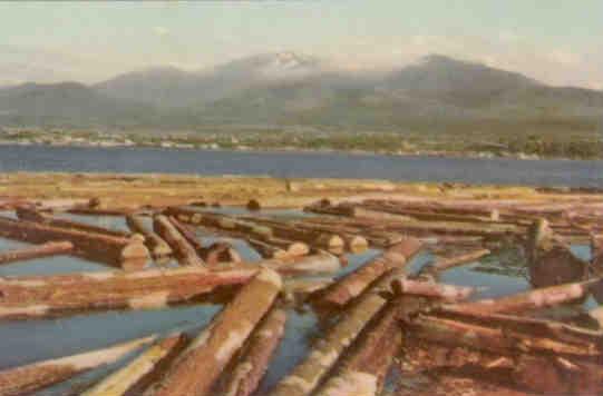 Port Angeles, Timber (Union Oil No. 15)
