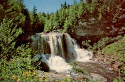 Davis, Blackwater Falls in State Park
