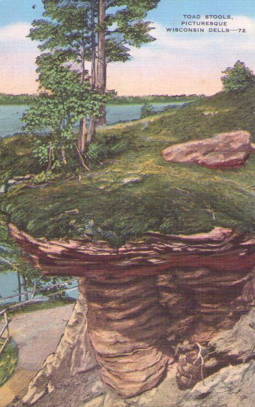 Toad Stools, Picturesque Wisconsin Dells