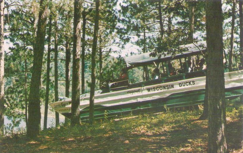 Wisconsin Dells, Duck Approaching “Suicide Hill”