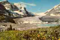 Athabasca Glacier, Jasper Nat. Park