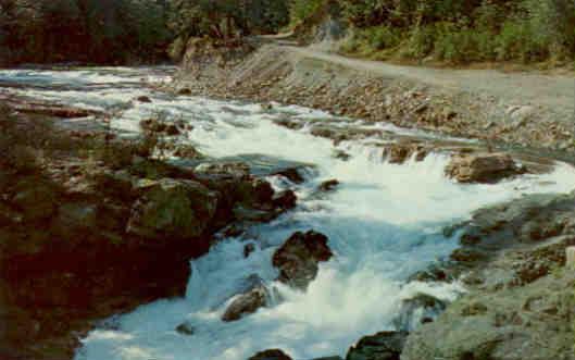 B.C., Stamp Falls Park