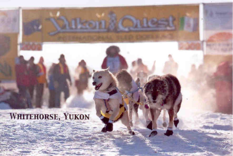 Whitehorse, Yukon Quest Start Global Postcard Sales