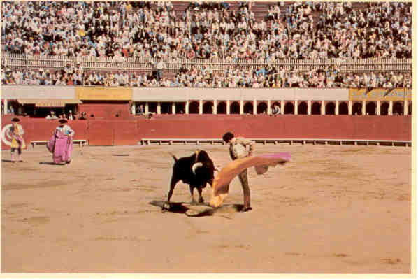 Tijuana, bullfight