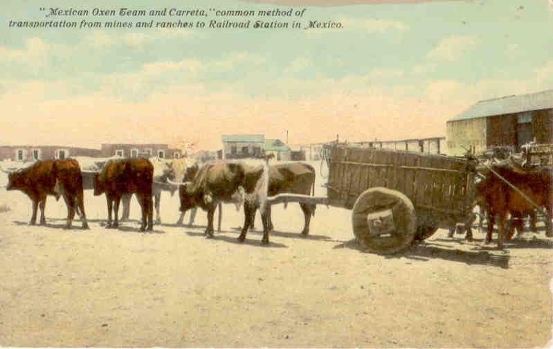 Mexican Oxen Team and Carreta