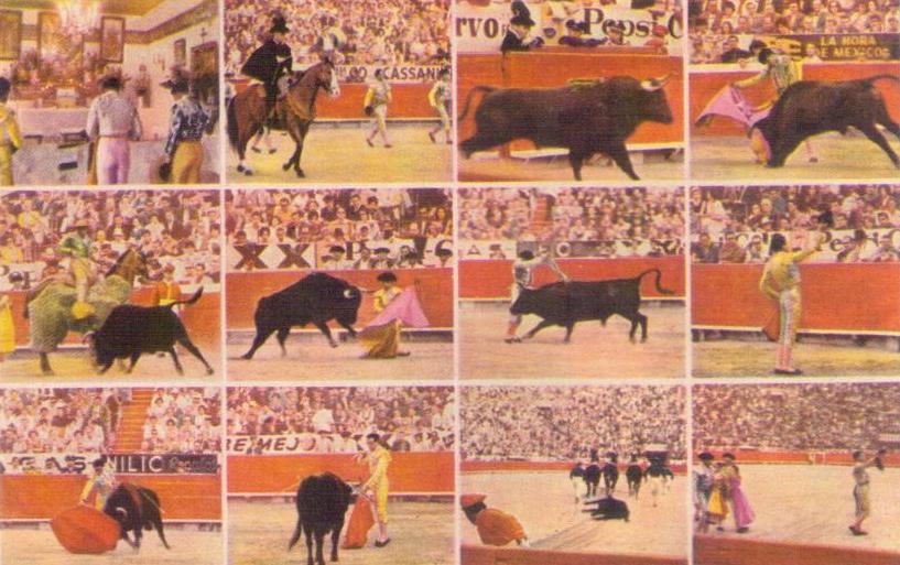 Bullfight