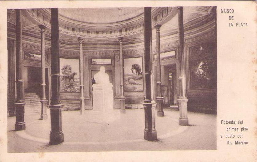 Museo de La Plata, Rotonda del premier piso