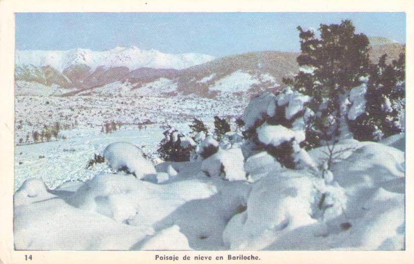 Paisaje de nieve en Bariloche