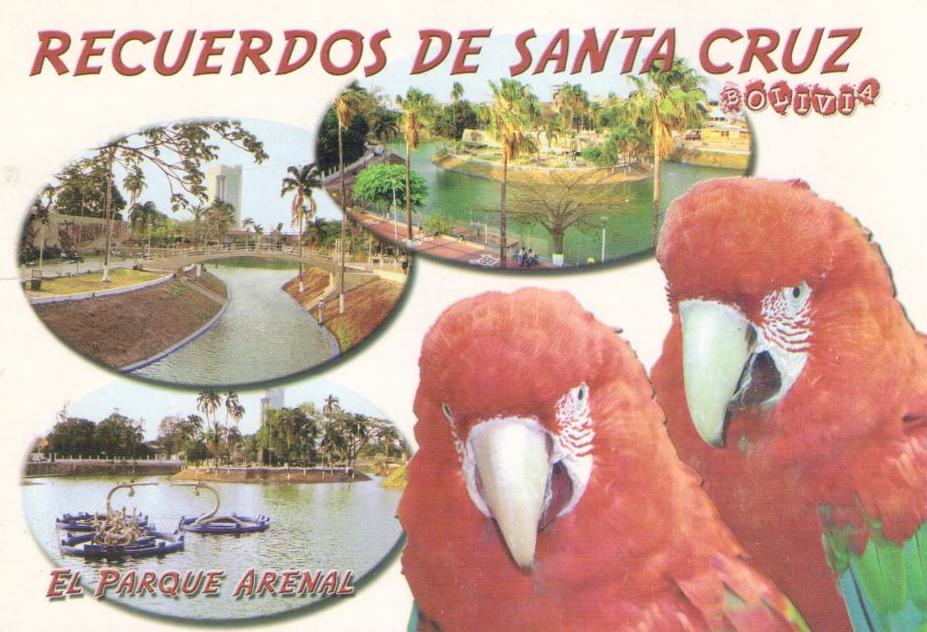 Recuerdos de Santa Cruz, El Parque Arenal