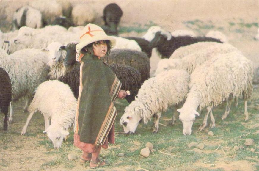 Vilacayma, Nina con ovejas