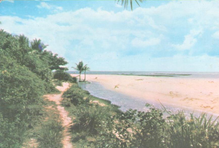 Porto Seguro – BA – Pitinga Beach