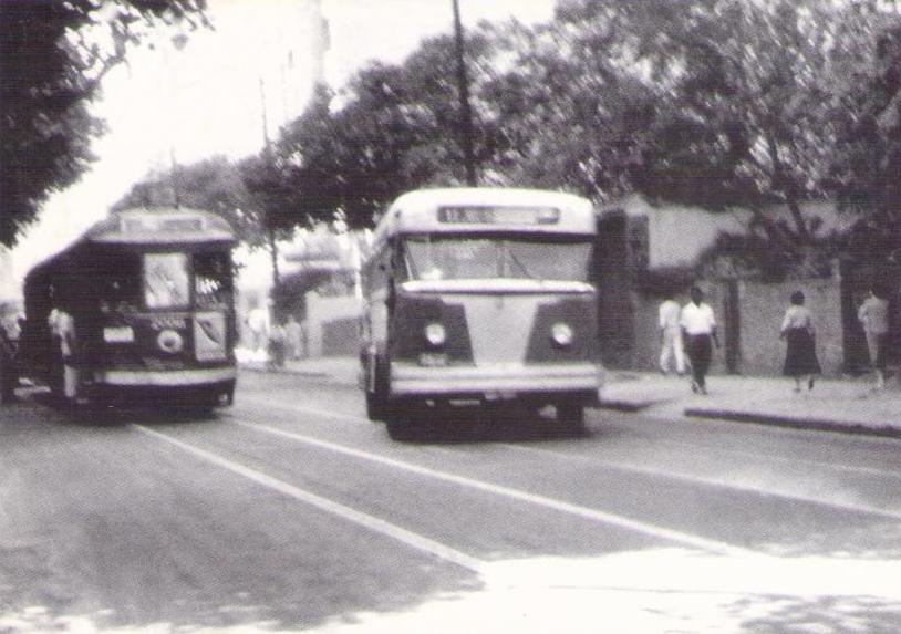 Rua Jardim Botanico – 1955 – Melhoramentos (B)