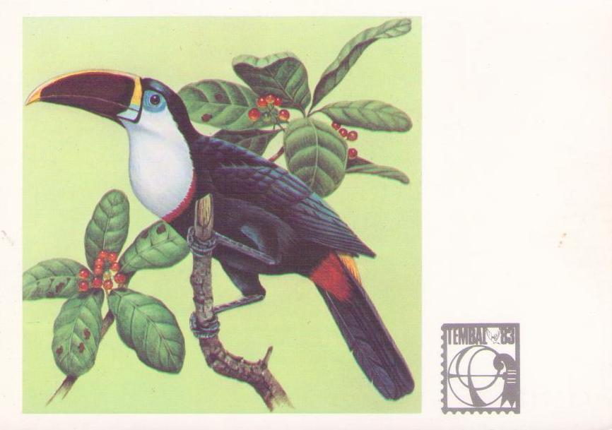 Serie Fauna Brasileira – Tucanos
