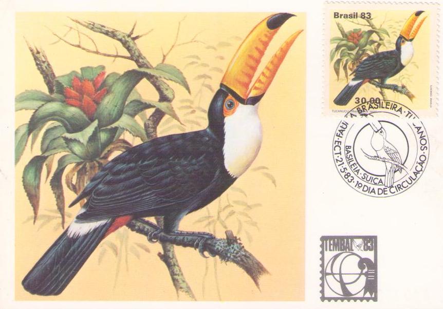 Serie Fauna Brasileira – Tucanos – Tucanucu (Maximum Card)
