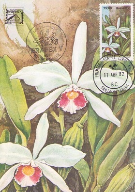 Brapex V – Laelia purpurata (Maximum Card)