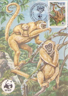 Preservacao Da Fauna – Macaco Muriqui (Maximum Card)