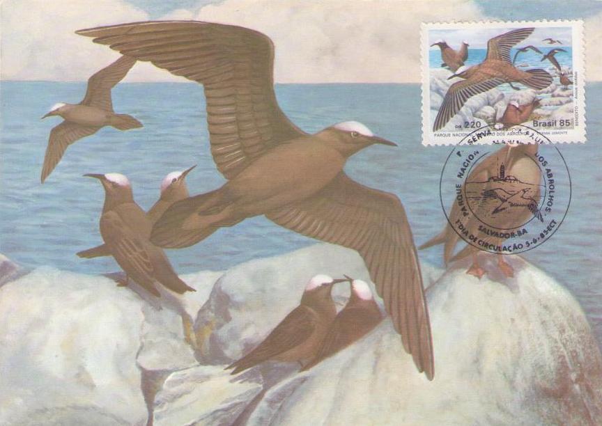 Serie Preservacao da Fauna – Parque Nacional Marinho Dos Abrolhos – Benedito, Anous stolidus (Maximum Card)