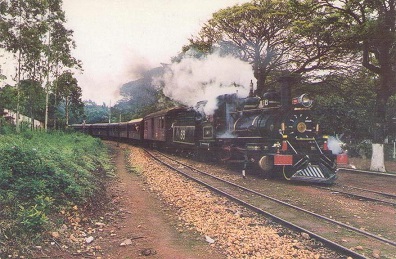 Minas Gerais, Trem  Maria Fumaça