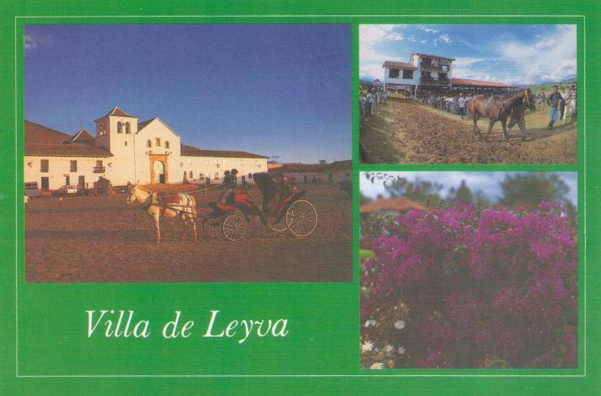 Villa de Leyva – “Mian square, horse track, buganviles”