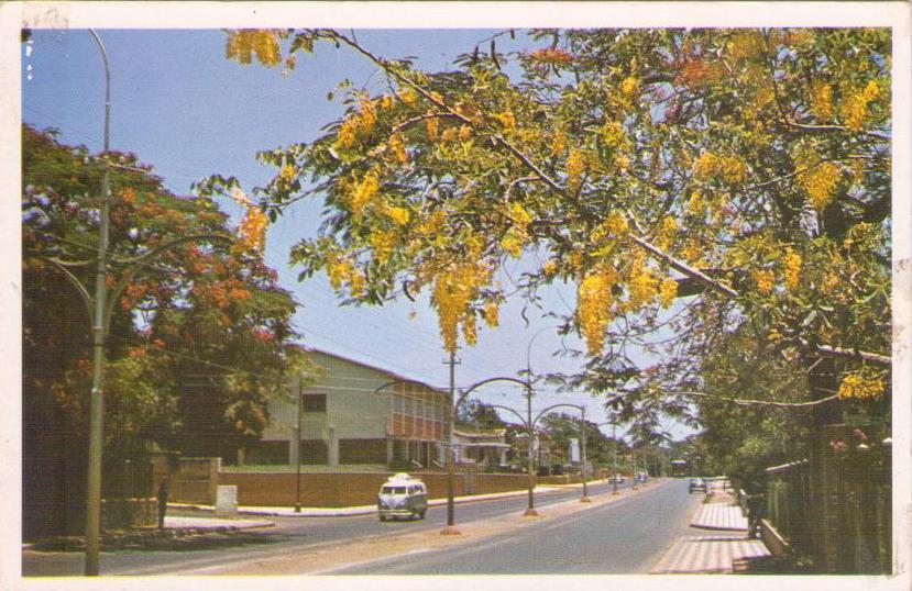 Asuncion, Avenida Mariscal Lopez