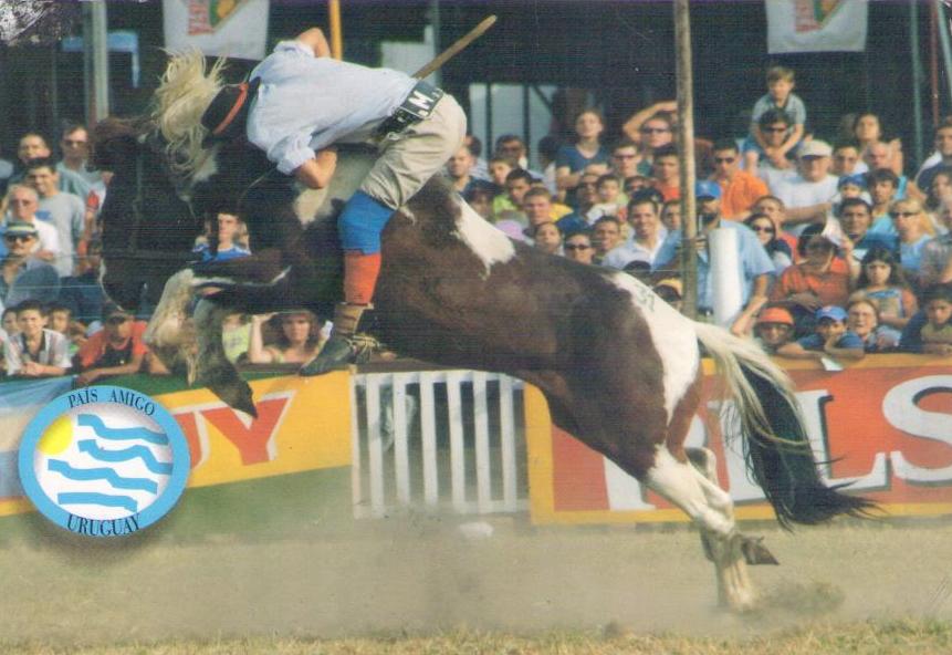 Montevideo, bucking horse