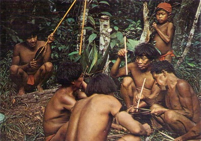 Indios Sanemas preparando kurare … Kanara Kuni – Edo. Bolivar