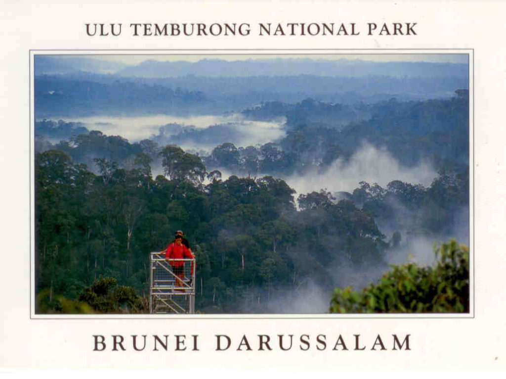 Ulu Temburong National Park