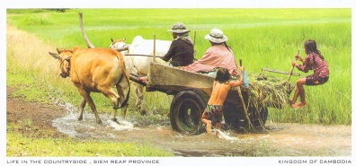 Siem Reap Province, ox cart
