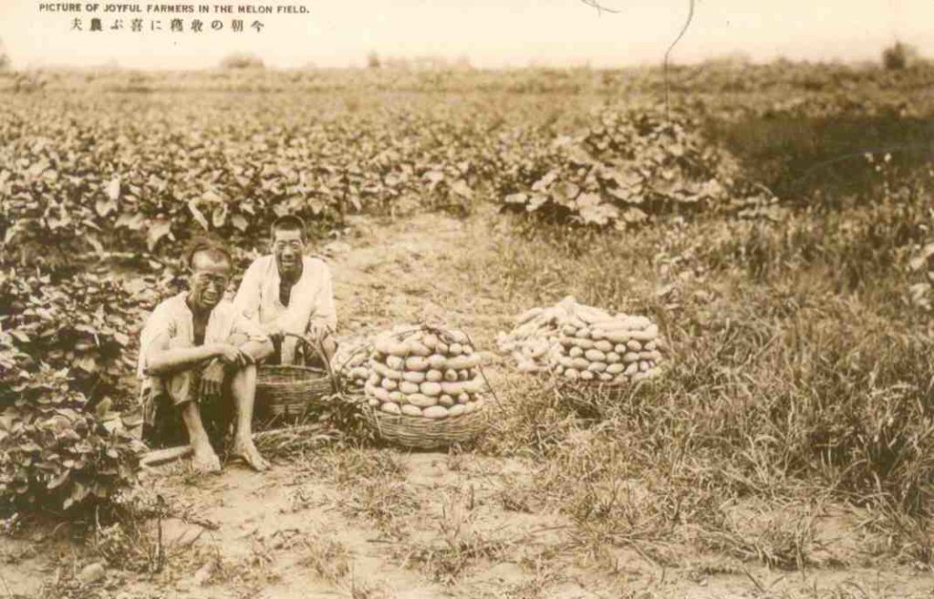 Joyful farmers in melon field