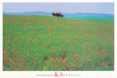 Xinjiang, Kazak Grassland