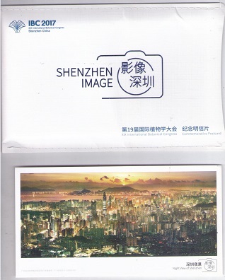 Shenzhen Image (set of 19)