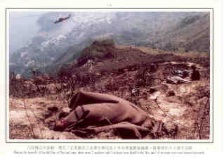 Pat Sin Leng fire, victims