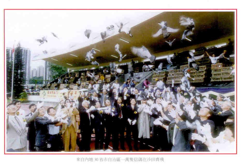 Celebration Reuniformation of China Postcard – doves