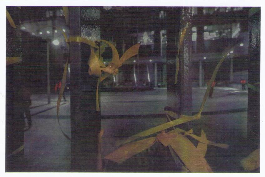 Umbrella Movement – ribbons at night