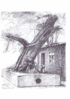 Cheung Chau, Ancient Sacred Tree, Tung Wan Road