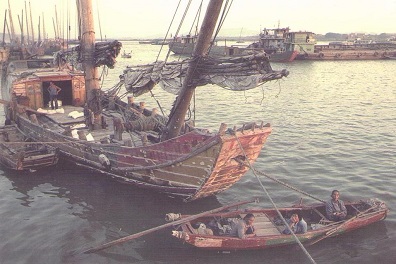 Snug in harbour in the evening light