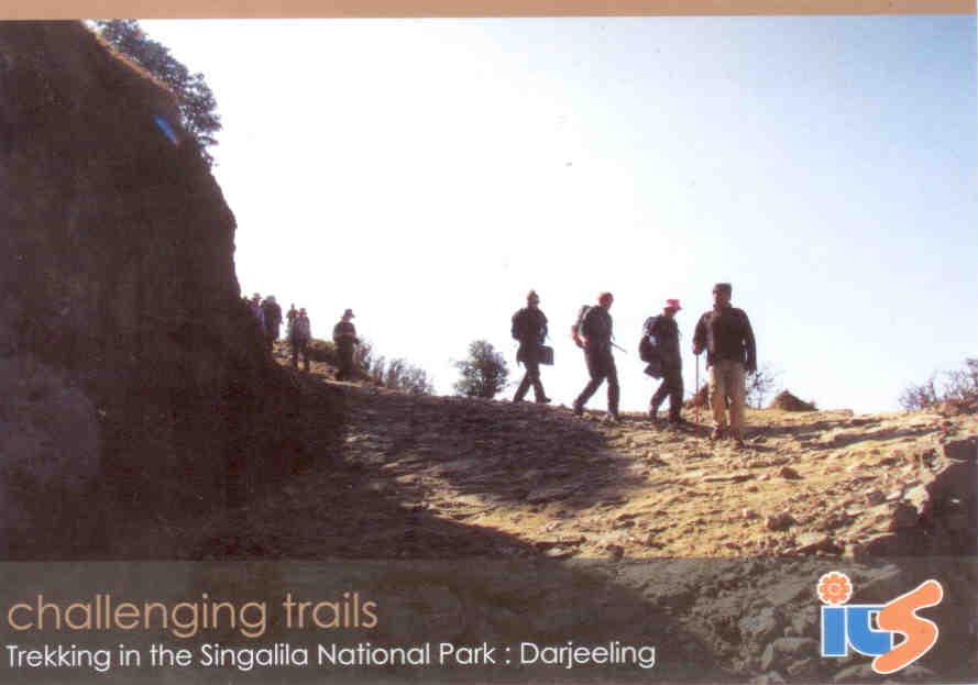 Darjeeling, Trekking in the Singalila National Park