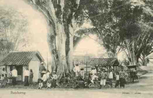 Bandoeng, Aloen