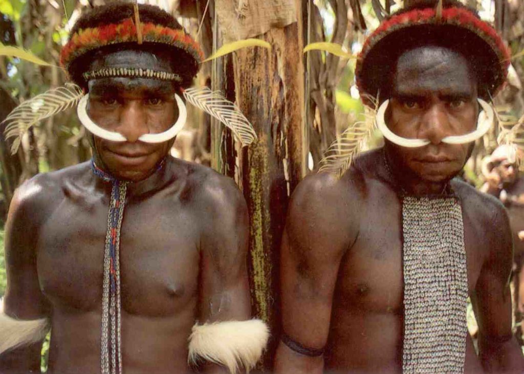 Irian Jaya, Dani tribesmen